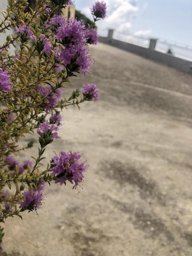 דירה Mariza's View House